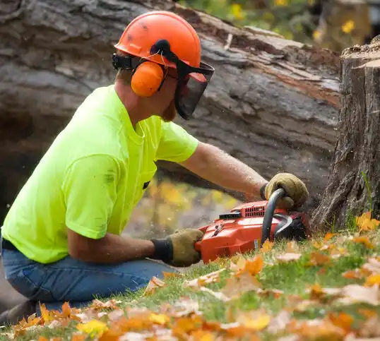 tree services Clarksville